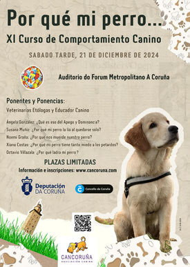 cartel do curso Por que o meu can...?