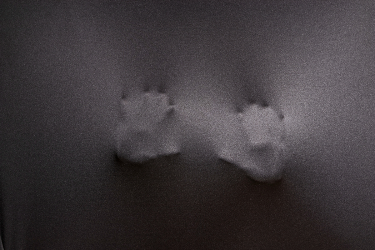 Silueta de mans presionando tea