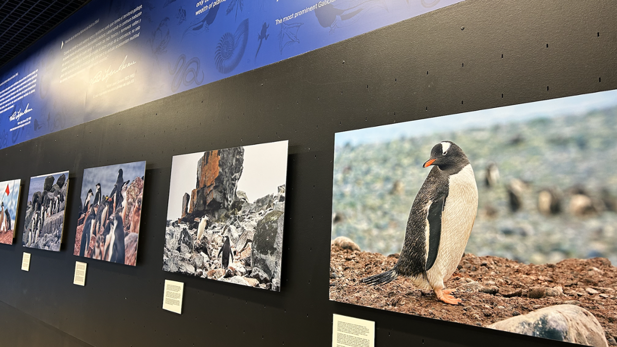 Nova exposición fotográfica no Corredor López Seoane do Aquarium Finisterrae
