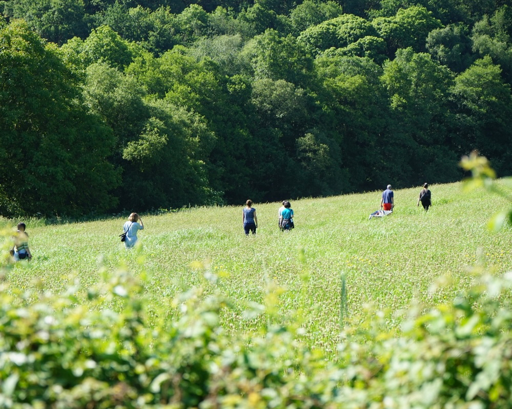 Personas caminando por un prado