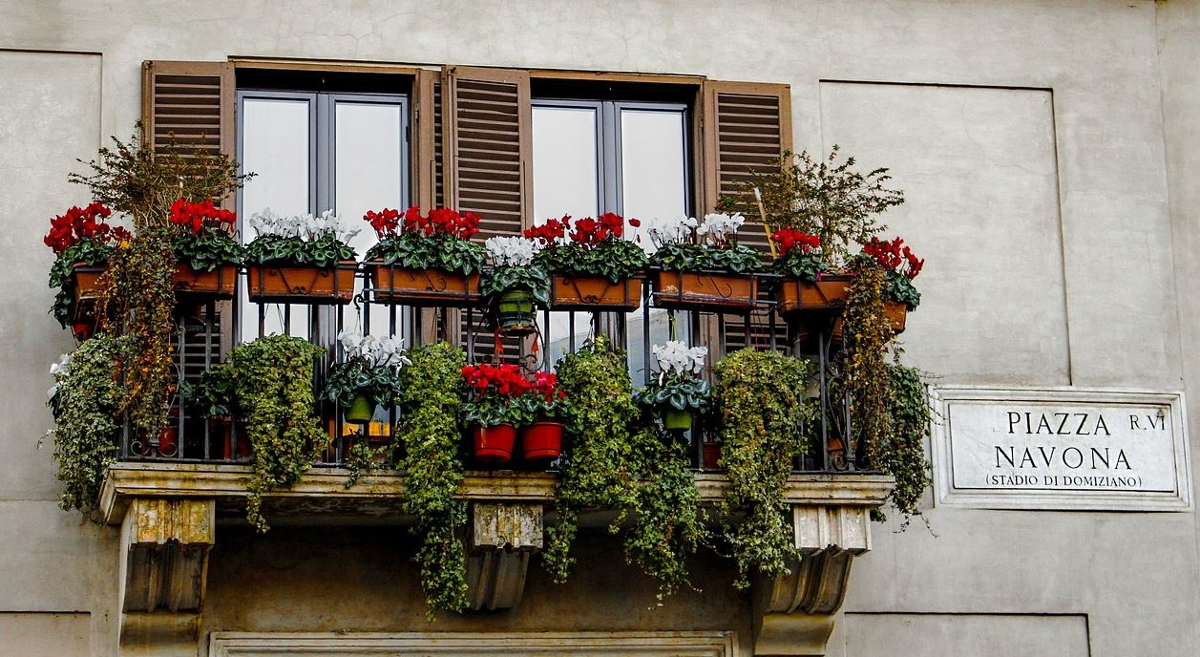 Balcón con flores e placa de Praza Navona en Roma.