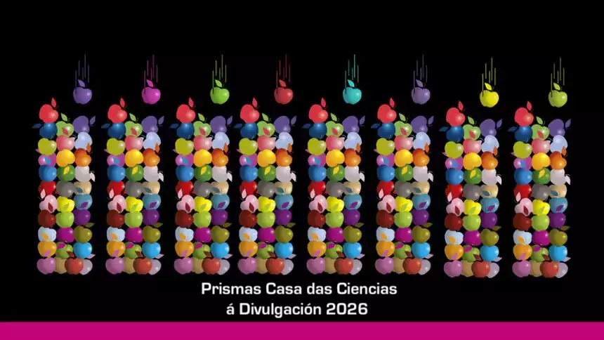 Fallo Prismas 2026